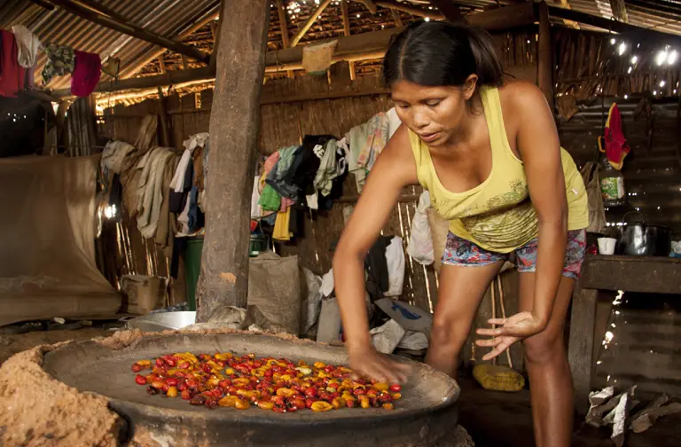 pêche colombie