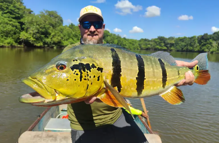 Expédition pêche au Peacock Bass en Colombie, aventure inoubliable
