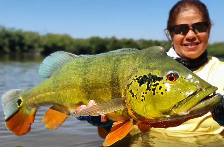 Pêche extrême en Amazonie, traque du Payara en Colombie