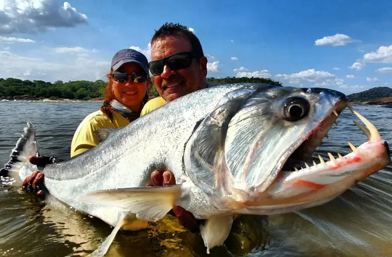 Poisson géant de Colombie, aventure de pêche en rivière