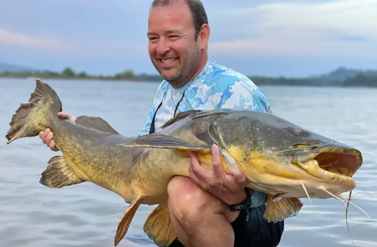 Meilleurs spots de pêche au Peacock Bass en Colombie