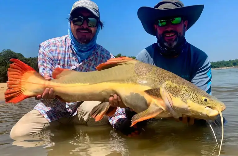 Expérience de pêche en rivière en Colombie, voyage nature