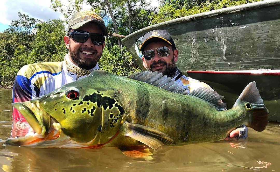 séjour de pêche peacock bass