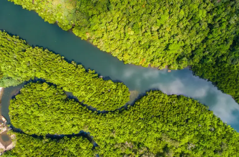 guidage de pêche equateur