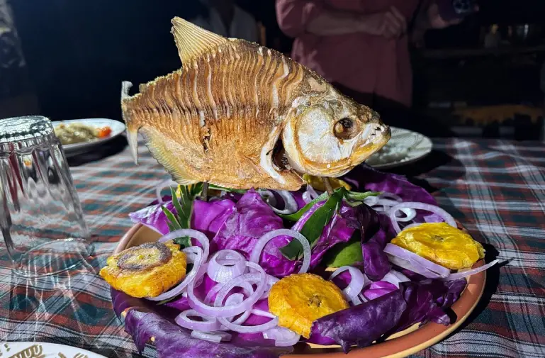 pêche equateur
