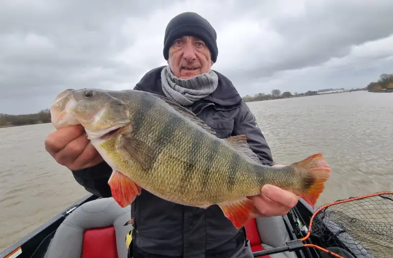 Hollande pêche