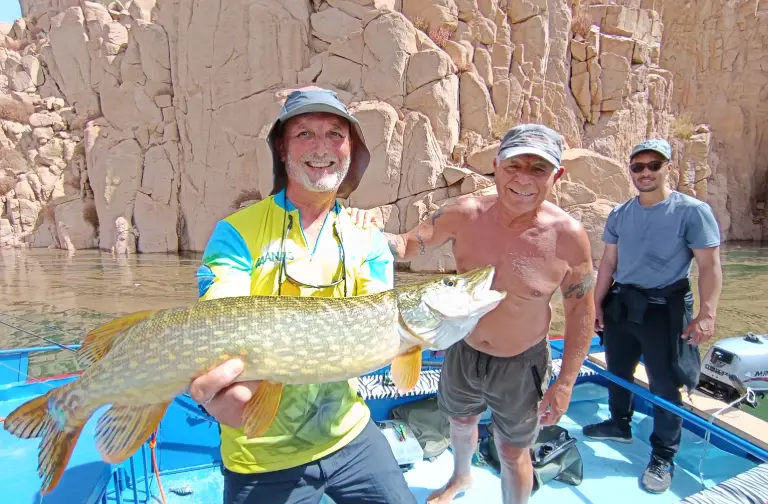  Brochet