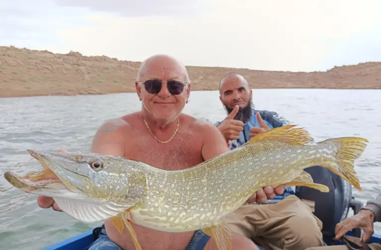 Brochet pêche