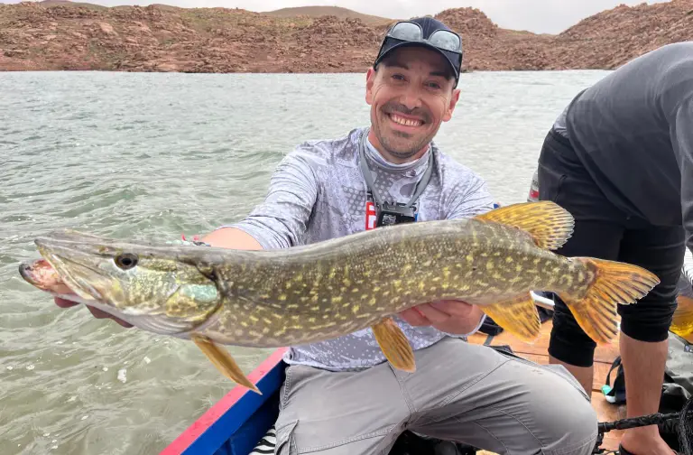 pêche Brochet