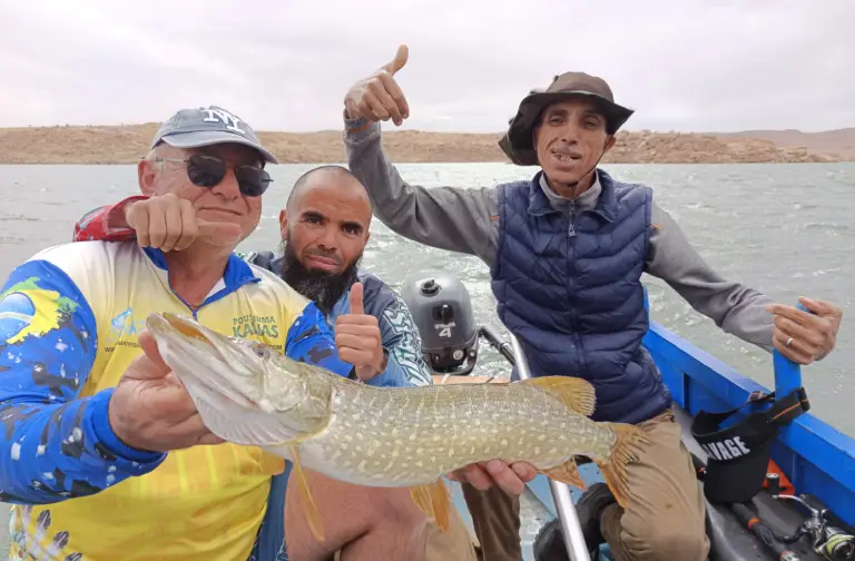  Brochet
