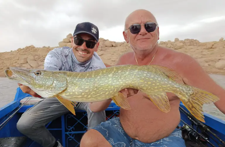 pêche Brochet