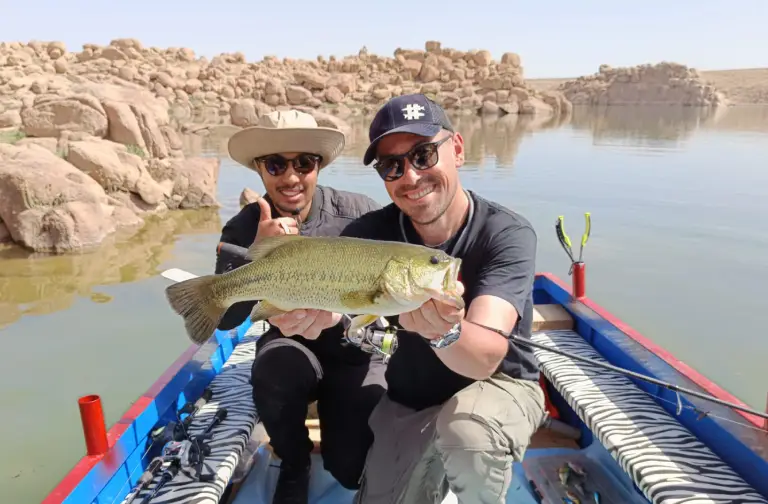 Brochet pêche