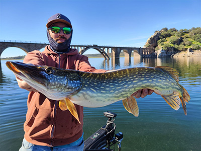 brochet séjour de peche 