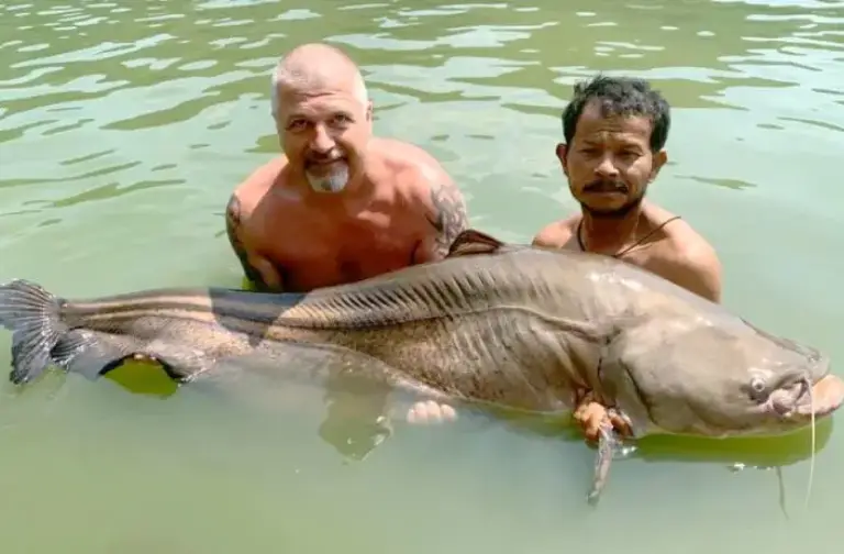 pêche laponie