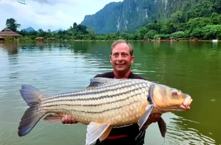 séjour phuket