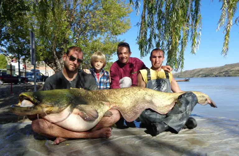 lake mequinenza