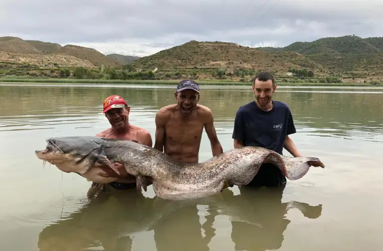 pêche mequinenza