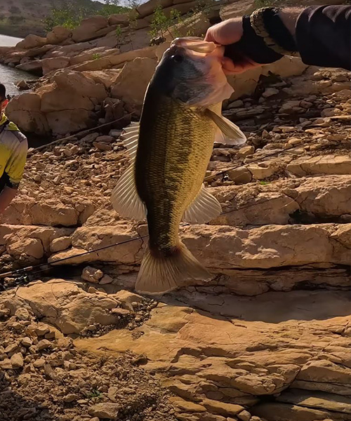 guidage de pêche maroc