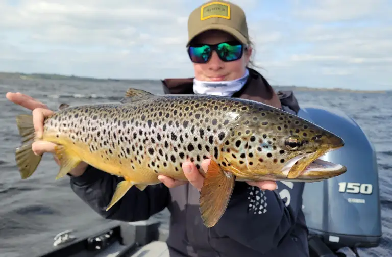 Poissons trophées en Irlande