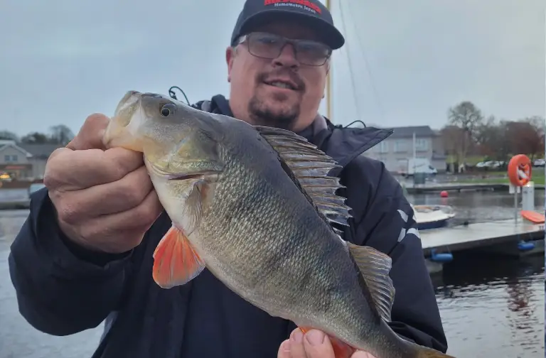Record de brochet en Irlande