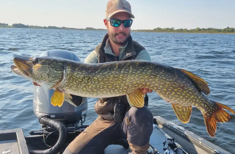 Séjour de pêche au brochet en Irlande