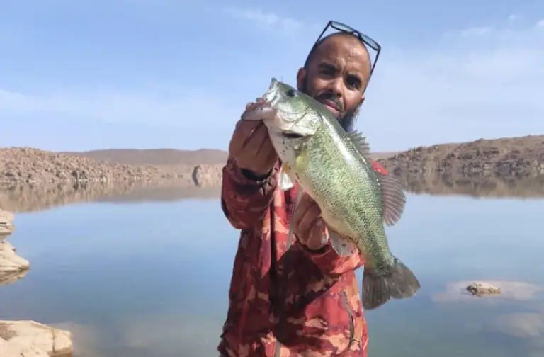 pêche Brochet