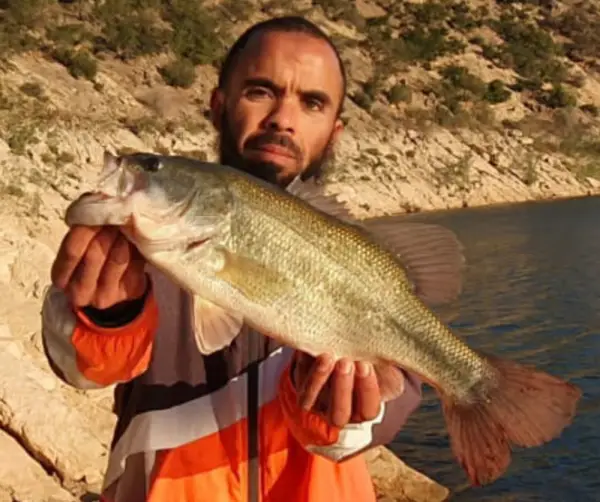 Brochet pêche