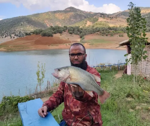  Brochet