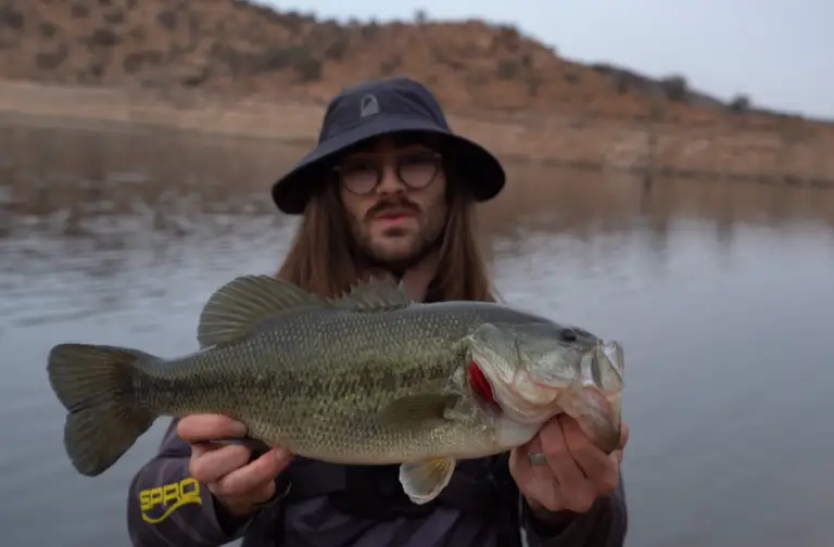  Brochet