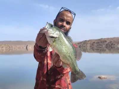 destination séjour de pêche maroc